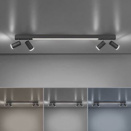 Paul Neuhaus 6121-13 - Dimmbarer LED-Strahler PURE 4xLED/4W/230V + LED/9W 2700-5000K + Fernbedienung