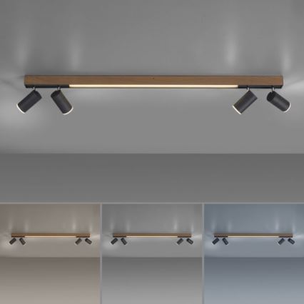 Paul Neuhaus 6121-79 - Dimmbarer LED-Strahler PURE 4xLED/4W/230V + LED/9W 2700-5000K + Fernbedienung
