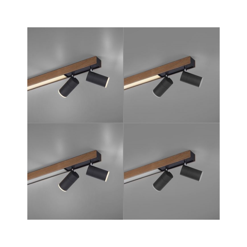 Paul Neuhaus 6121-79 - Dimmbarer LED-Strahler PURE 4xLED/4W/230V + LED/9W 2700-5000K + Fernbedienung
