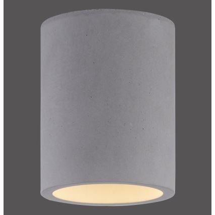Paul Neuhaus 6160-22 - Strahler ETON 1xGU10/10W/230V Beton
