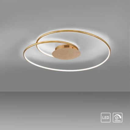 Paul Neuhaus 6189-12 - Dimmbare LED-Deckenleuchte NASTRO LED/26W/230V