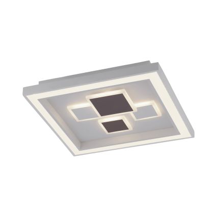 Paul Neuhaus 6283-16 - LED Dimmbare Deckenleuchte ELIZA LED/30W/230V + LED/18,5W