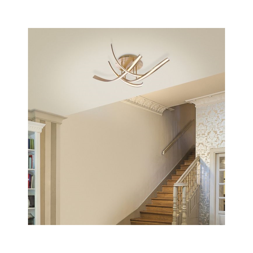 Paul Neuhaus 6474-12 - Dimmbare LED-Aufbauleuchte LINDA 4xLED/7W/230V