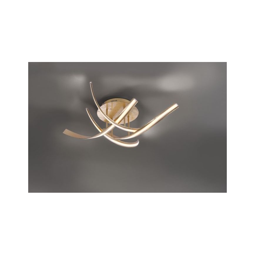 Paul Neuhaus 6474-12 - Dimmbare LED-Aufbauleuchte LINDA 4xLED/7W/230V