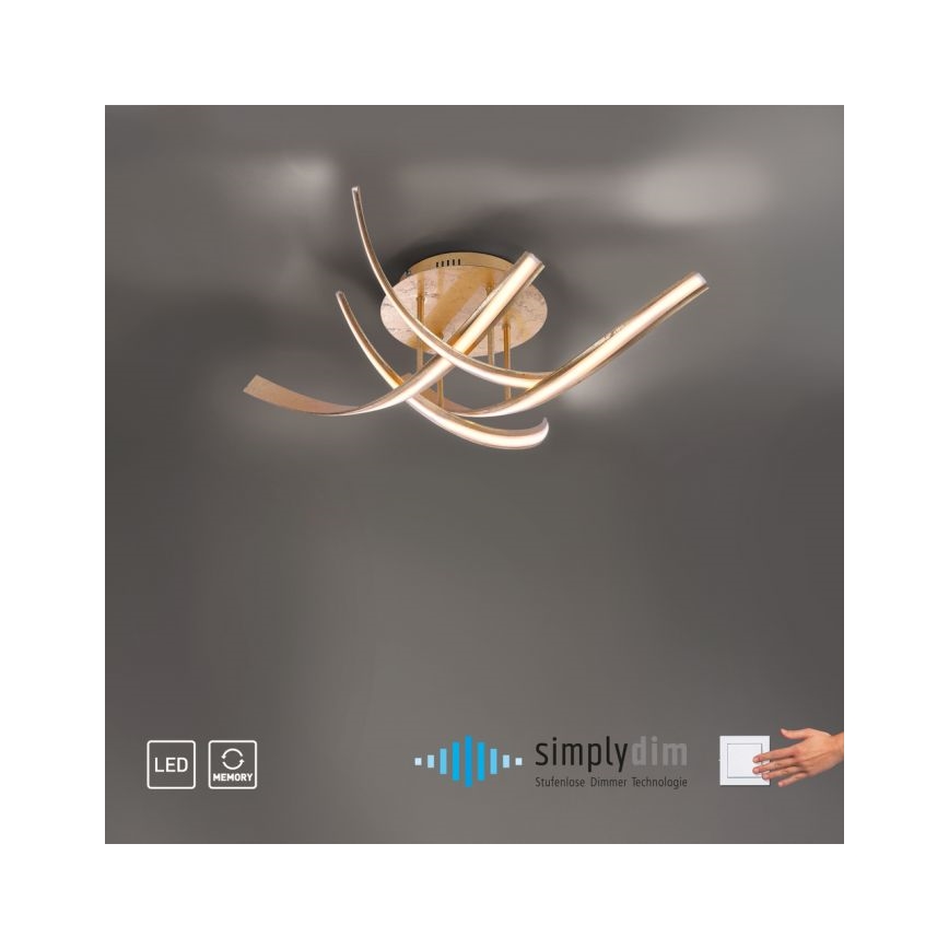 Paul Neuhaus 6474-12 - Dimmbare LED-Aufbauleuchte LINDA 4xLED/7W/230V