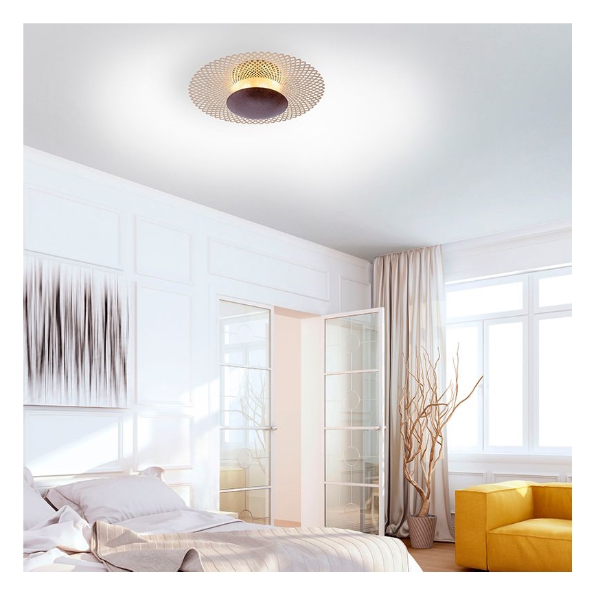 Paul Neuhaus 6551-48 - LED dimmbare Deckenleuchte NEVIS LED/18W/230V