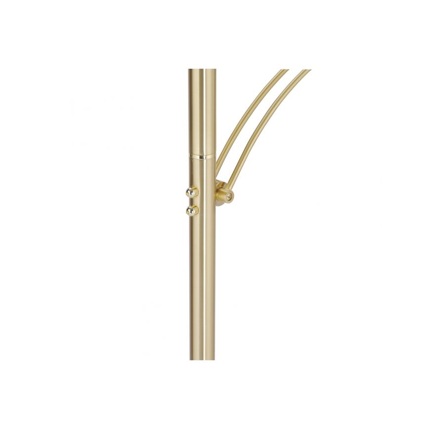 Paul Neuhaus 673-60 - Dimmbare LED-Stehleuchte ARTUR 2xLED/21W/230V+LED/6W goldfarben