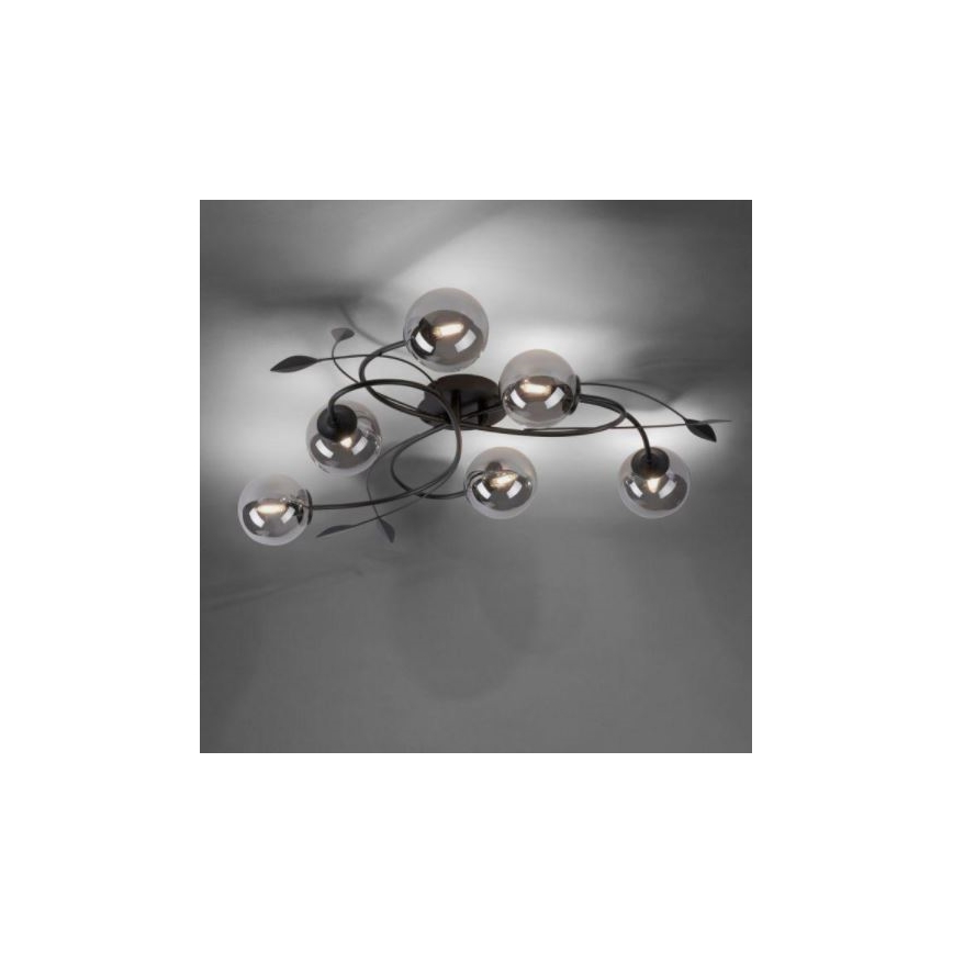 Paul Neuhaus 6737-18 - LED-Anbaukronleuchter WIDOW 6xG9/3W/230V