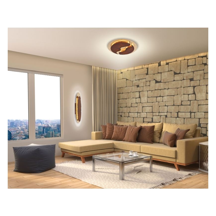 Paul Neuhaus 6983-48 - LED dimmbare Deckenleuchte NEVIS LED/42W/230V