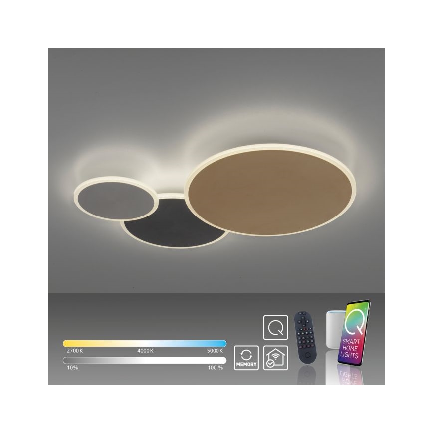 Paul Neuhaus 8007-70 - LED dimmbare Deckenleuchte Q-PIATO LED/35W/230V 2700-5000K Wi-Fi + Fernbedienung