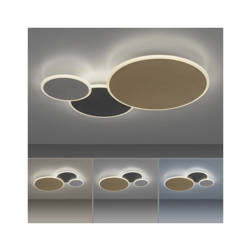 Paul Neuhaus 8007-70 - LED dimmbare Deckenleuchte Q-PIATO LED/35W/230V 2700-5000K Wi-Fi + Fernbedienung