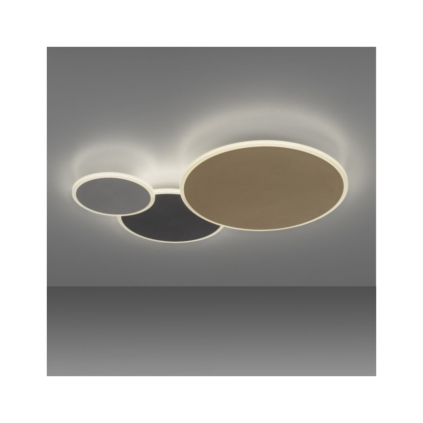 Paul Neuhaus 8007-70 - LED dimmbare Deckenleuchte Q-PIATO LED/35W/230V 2700-5000K Wi-Fi + Fernbedienung