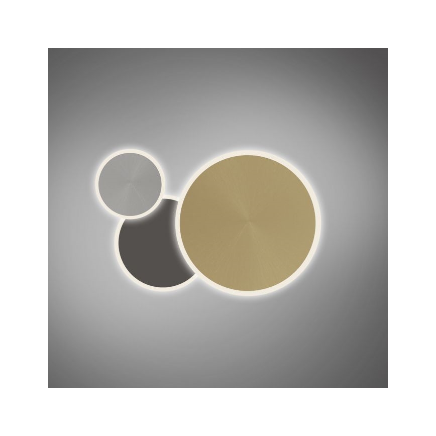 Paul Neuhaus 8007-70 - LED dimmbare Deckenleuchte Q-PIATO LED/35W/230V 2700-5000K Wi-Fi + Fernbedienung