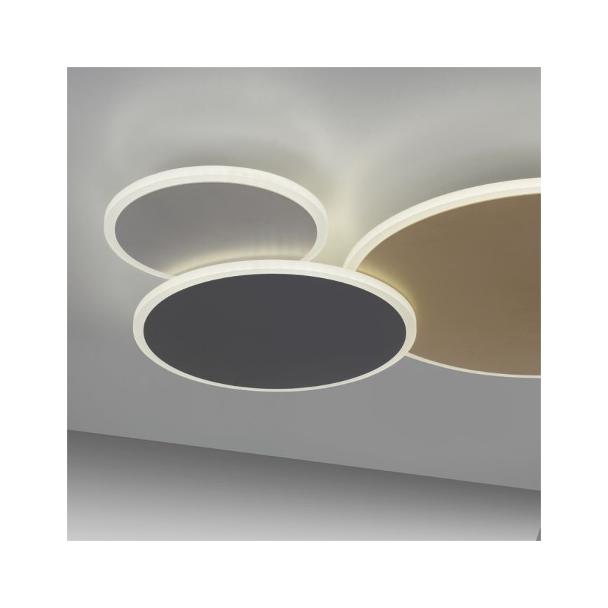 Paul Neuhaus 8007-70 - LED dimmbare Deckenleuchte Q-PIATO LED/35W/230V 2700-5000K Wi-Fi + Fernbedienung