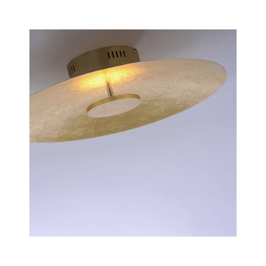 Paul Neuhaus 8132-12 - LED Dimmbare Deckenleuchte PLATE LED/25W/230V