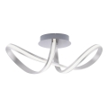 Paul Neuhaus 8331-55 - LED Dimmbarer Decken-Kronleuchter MELINDA 1xLED/30W/230V