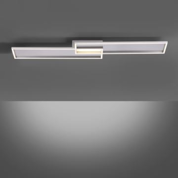 Paul Neuhaus 8371-55 - LED-Dimmer-Deckenleuchte AMARA LED/40W/230V + Fernbedienung