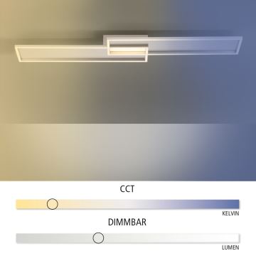 Paul Neuhaus 8371-55 - LED-Dimmer-Deckenleuchte AMARA LED/40W/230V + Fernbedienung