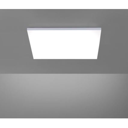 Paul Neuhaus 8492-16 - LED Dimmbare Deckenleuchte FRAMELESS LED/35W/230V + FB