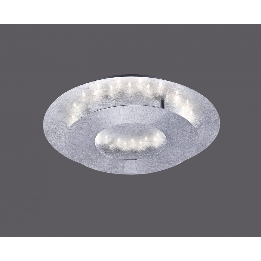 Paul Neuhaus 9011-21 - LED-Deckenleuchte NEVIS LED/6W/230V silber
