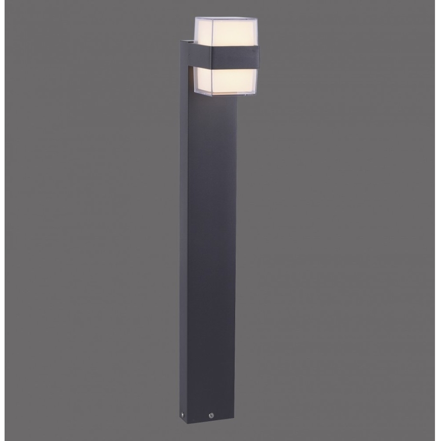Paul Neuhaus 9481-13 - LED-Außenleuchte CARA LED/8W/230V IP44