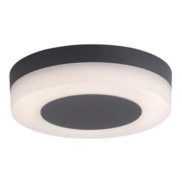 Paul Neuhaus 9490-13 - LED-Außenleuchte FABIAN LED/12,6W/230V IP54