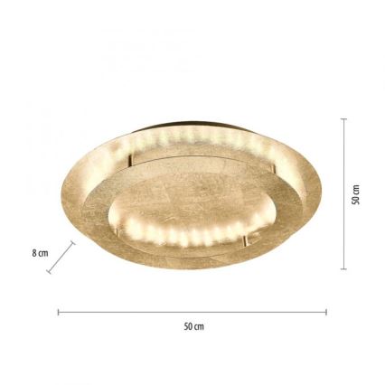 Paul Neuhaus 9621-12 - LED-Deckenleuchte NEVIS LED/24W/230V