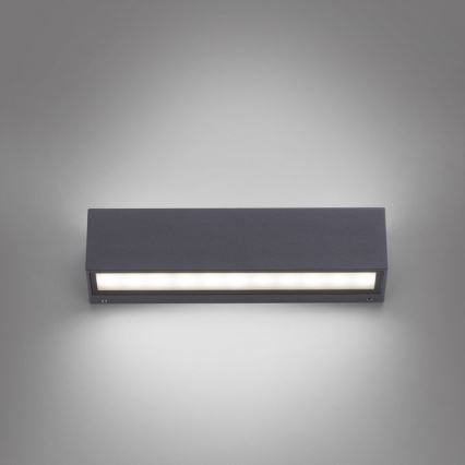 Paul Neuhaus 9675-13 - LED Außenwandleuchte ROBERT 2xLED/9W/230V IP65