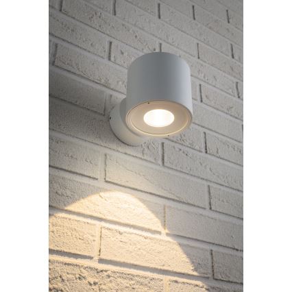 Paulmann 18007 - LED/5W IP44 Außenwandleuchte FLAME 230V