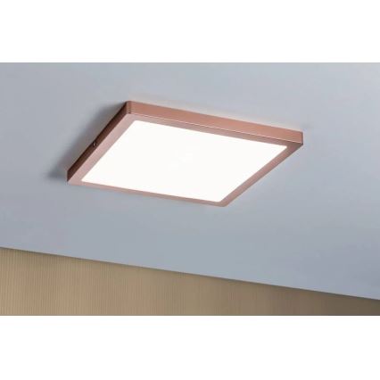 Paulmann 70941 - LED/20W Anbaupanel ATRIA 230V 4000K 30x30 cm Roségold