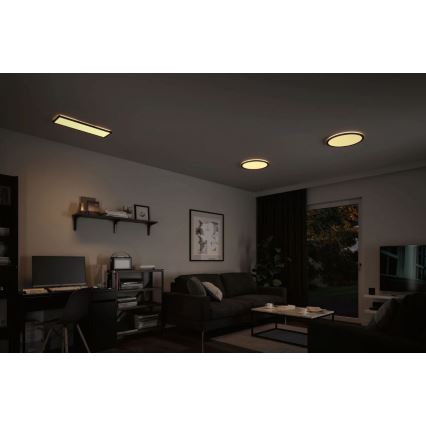 Paulmann 71003 - LED/22W Dimmbares Panel ATRIA 230V 3000K 20x58 cm schwarz