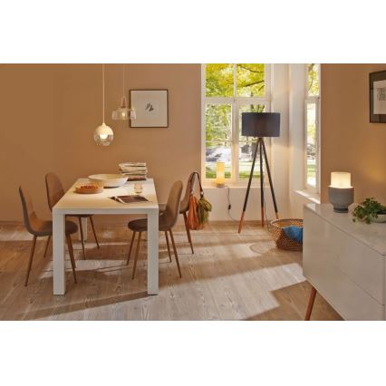Paulmann 79633 - 1xE27/20W Stehleuchte RURIK 230V