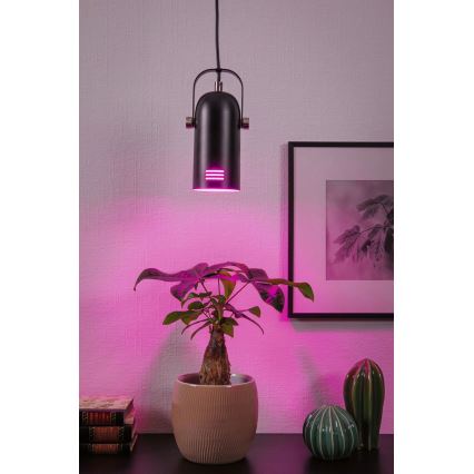 Paulmann 79766 - LED RGBW 1xE27/12W Pendelleuchte an Kabel LAVEA 230V schwarz