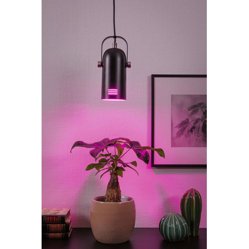 Paulmann 79766 - LED RGBW 1xE27/12W Pendelleuchte an Kabel LAVEA 230V schwarz