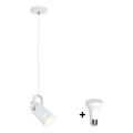 Paulmann 79767 - LED 1xE27/8W Pendelleuchte an Kabel LAVEA 230V weiß