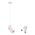 Paulmann 79767 - LED RGBW 1xE27/9W Pendelleuchte an Stahlseil LAVEA 230V weiß