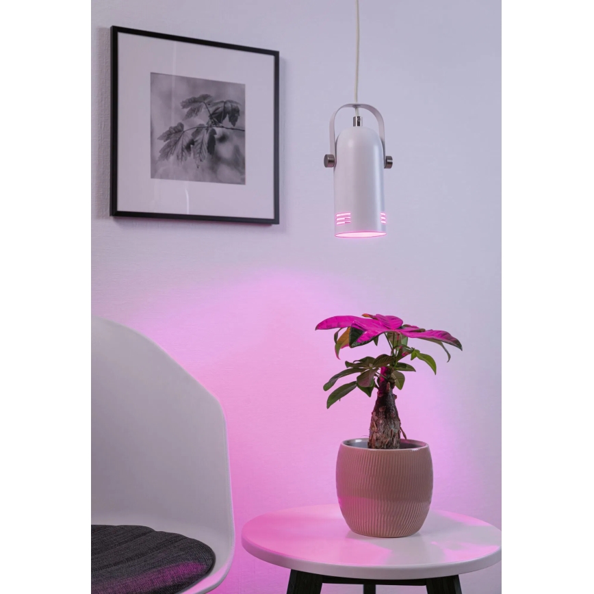 Paulmann 79767 - LED RGBW 1xE27/9W Pendelleuchte an Stahlseil LAVEA 230V weiß
