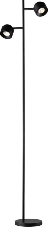 Paulmann 79775 - 2xLED/3W Dimmbare Stehleuchte PURIK PANE 230V