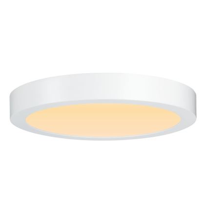 Paulmann 79799 - LED/19W Deckenleuchte CARPO 230V 2300/2500/3000K
