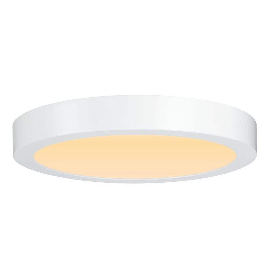 Paulmann 79799 - LED/19W Deckenleuchte CARPO 230V 2300/2500/3000K
