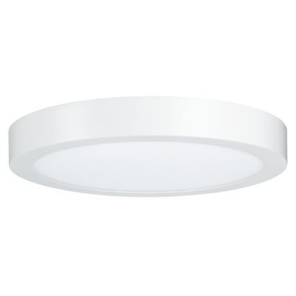 Paulmann 79799 - LED/19W Deckenleuchte CARPO 230V 2300/2500/3000K