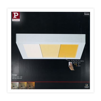 Paulmann 79801 - LED/13W-Deckenleuchte CARPO 230V 2300/2500/3000K