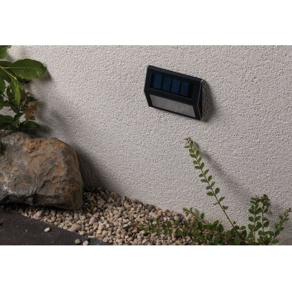 Paulmann 94234 - LED/0,05W IP44 Outdoor-Solarleuchte mit Sensor DAYTON 1,2V 400 mAh