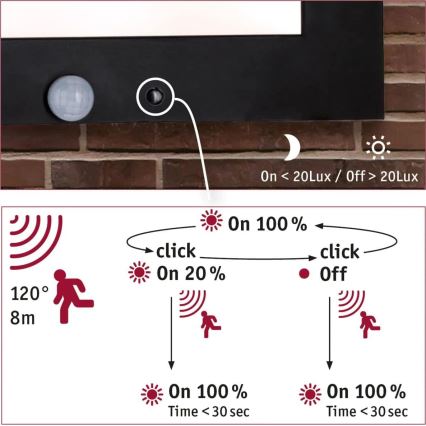 Paulmann 94256_1 - LED/10W IP44 Outdoor-Deckenleuchte mit Sensor 230V