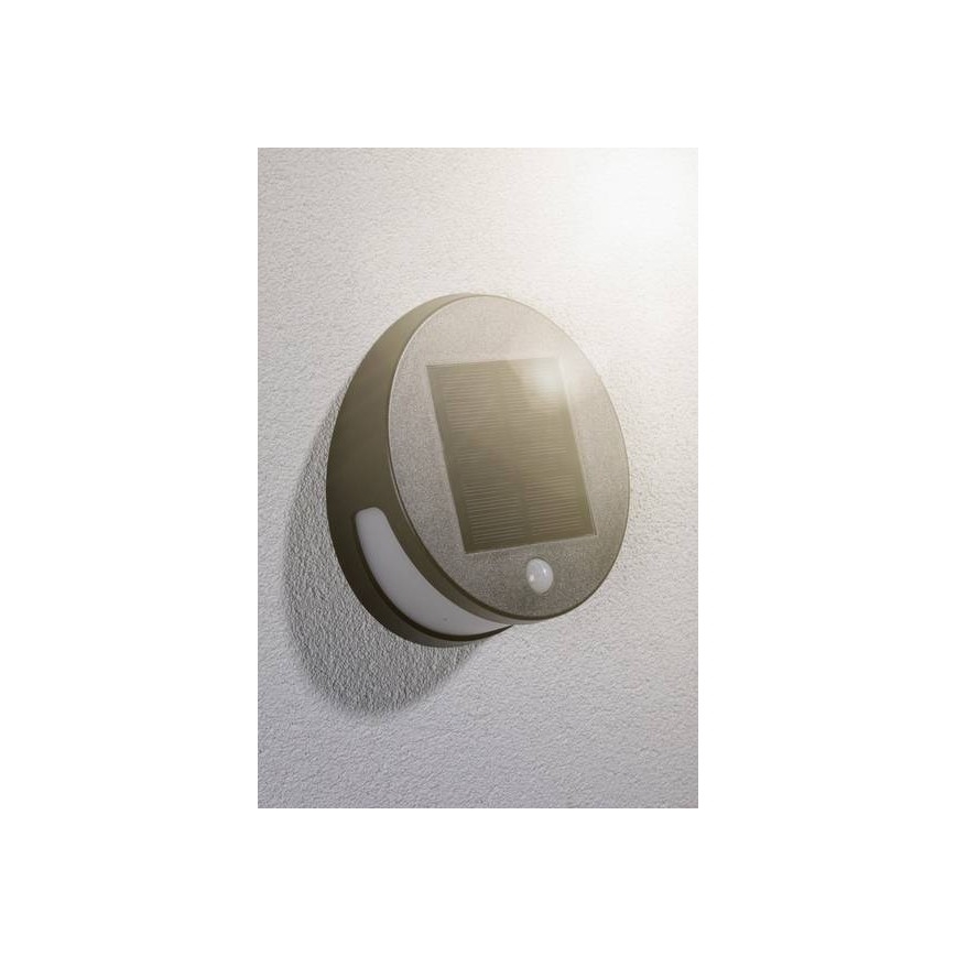 Paulmann 94265 - LED/3W IP44 Außen-Solarleuchte mit Sensor HELENA 3,7V