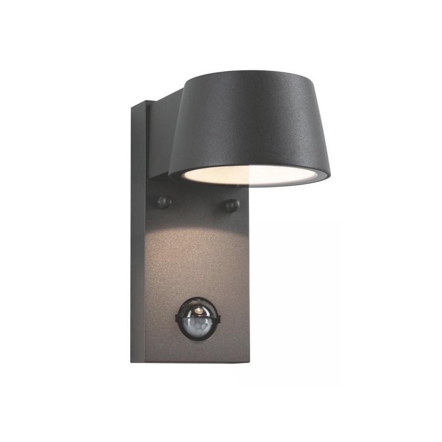 Paulmann 94453 - LED/6W IP44 Außenwandleuchte mit Sensor CAPEA 230V