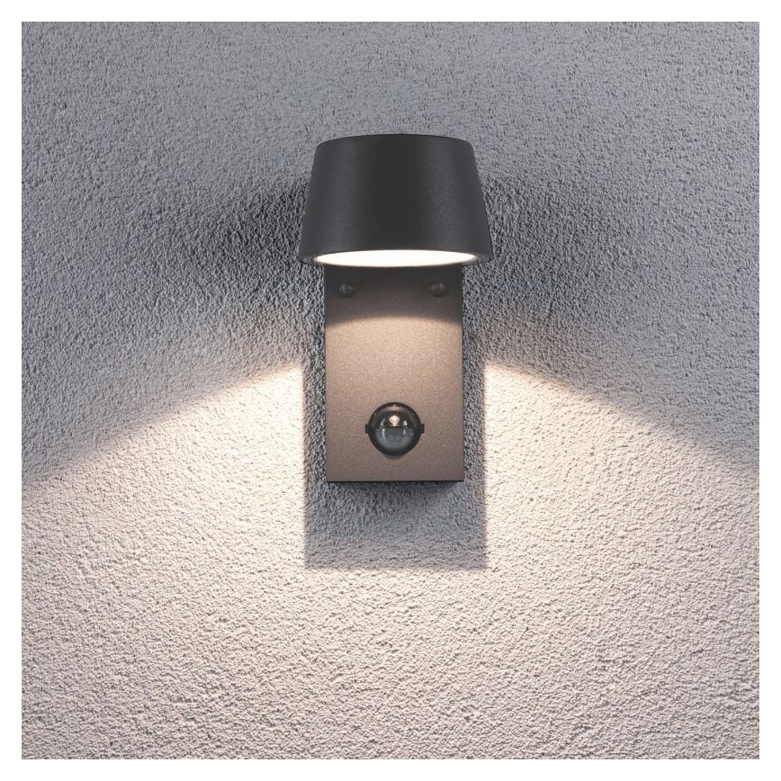 Paulmann 94453 - LED/6W IP44 Außenwandleuchte mit Sensor CAPEA 230V