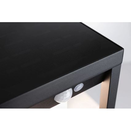 Paulmann 94572 -LED/5,5W IP44 Solar-Wandleuchte mit Sensor MARISOL 3,7V 2000 mAh