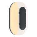 Paulmann 94957 - LED/18,5W IP65 dimmbare Außenwandleuchte ELUNOR 230V 2200/3000/4000K anthrazit