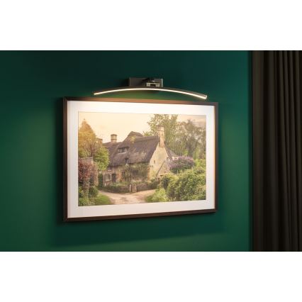 Paulmann 95561 - LED/10W Bilderleuchte BENTO 230V 50 cm Messing